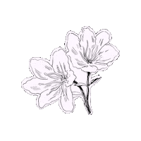 Flowers Sticker