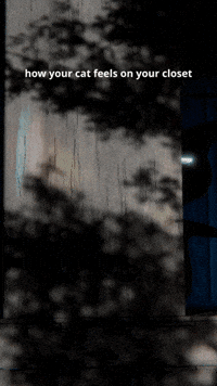 Sci-Fi Cat GIF