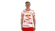 Oh Yeah Yes Sticker by RB Leipzig