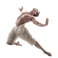 Swan Lake Dance Sticker by New York City Center