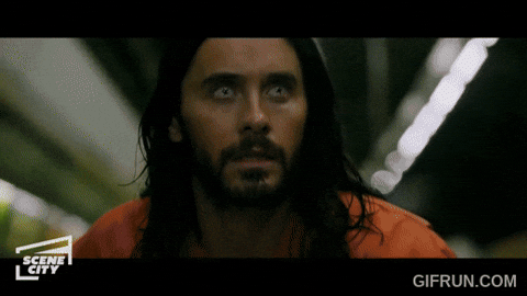 d4b123123r32513244 giphyupload GIF