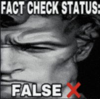 Lie Fact GIF