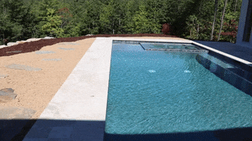 Pool Landscaping GIF by JC Property Professionals