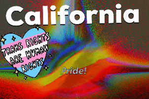 transgreaser pride flag lgbt lgbtq GIF