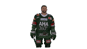 aevpanther celebration hockey jubel celly Sticker