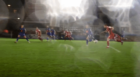 Ecfc Exetercity GIF by Exeter City Football Club