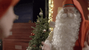 Santa Claus Yes GIF by The Elves!