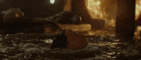 mockingjaypart2 GIF by The Hunger Games: Mockingjay Part 2