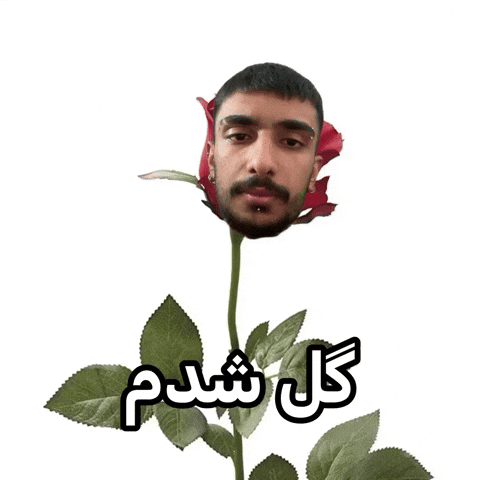 شدممم GIF