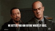 Special Victims Unit Episode 13 GIF by Law & Order