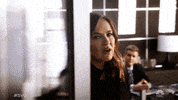 Special Victims Unit Episode 13 GIF by Law & Order