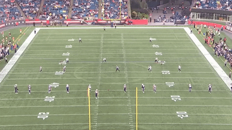 hinesbm giphyupload GIF