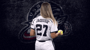 Action Florida GIF by USSSA Pride