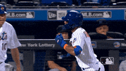 Happy Ny Mets GIF by New York Mets