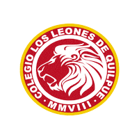 liga sudamericana ecuador Sticker by DIRECTV Liga de las Américas