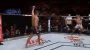 mma ufc218 GIF by UFC