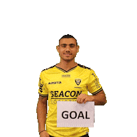 Celebration Goal Sticker by VVV-Venlo