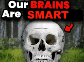 Brain GIF