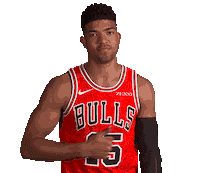 Chandler Hutchison Sticker by Chicago Bulls