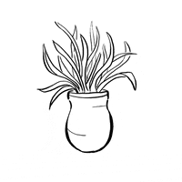 rikkipaepke flower flowers plant plants GIF