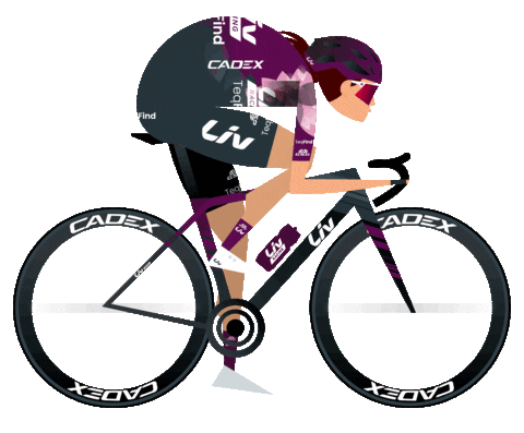 France Sport Sticker by Little James