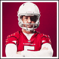 GIF by Arizona Cardinals