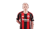 Eintracht Frankfurt Football Sticker by Bundesliga