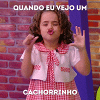 pet sbt online GIF by SBT - Sistema Brasileiro de Televisão