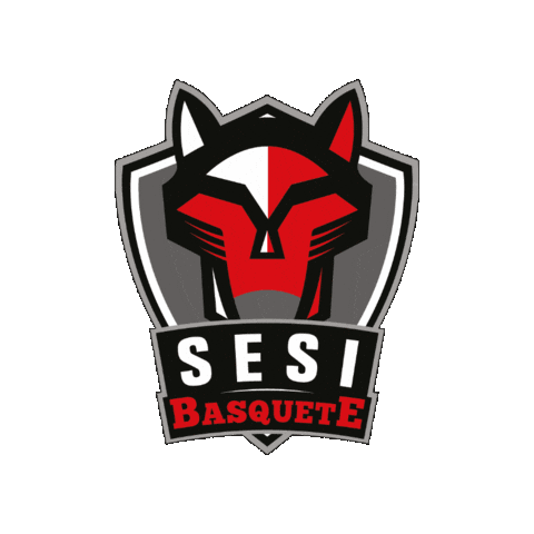 Basquete Sticker by Sesi Esporte