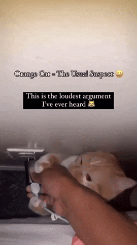cuteanimalland giphyupload GIF