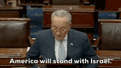 Chuck Schumer Israel GIF by GIPHY News