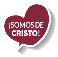 Rc Jmj Sticker by Regnum Christi Norte de Mexico