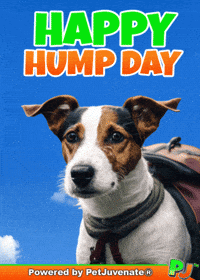 Henlo Hooman Fren GIF by PetJuvenate - PJ