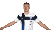 Flying Euro Cup Sticker by Huuhkajat