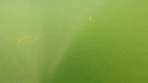 nicklindner giphyupload GIF