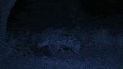 suspicious red handed GIF by BBC Earth