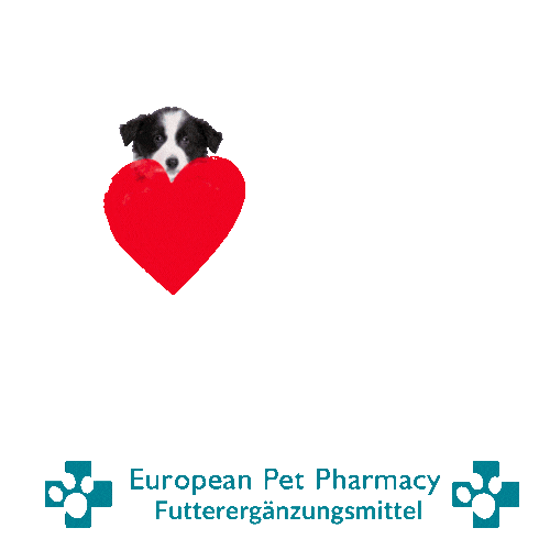 Border Co Sticker by Europeanpetpharmacy