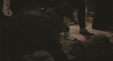 State Champs GIF by Pure Noise Records