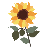 Flores Muebleria Sticker by MoolMX