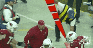 Arizona Cardinals Football GIF by NFL