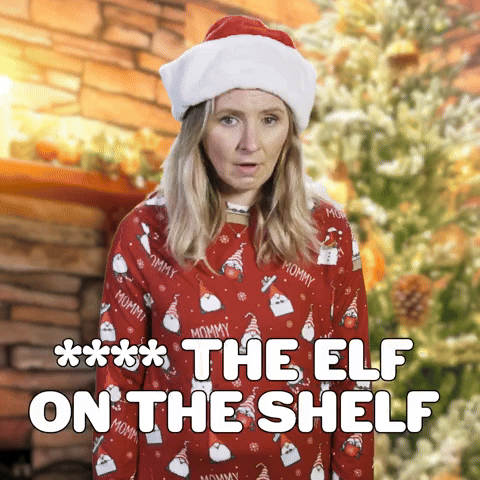 **** The Elf On The Shelf