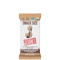 Snacks Protein Sticker by Perfect Bar