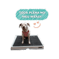 Sticker by Weasy