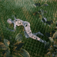 restless field GIF by alessiodevecchi