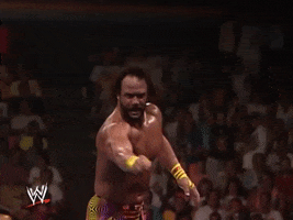 wwe sports wwe wrestling point GIF