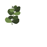 artbybrb plants leaf stem leafs Sticker