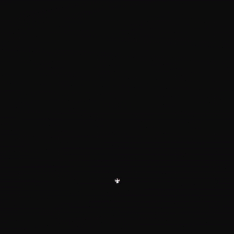 Jarana GIF by Tottus Perú