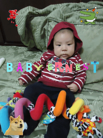 luisazuleykaturkowskyvizcarra giphygifmaker giphyattribution GIF