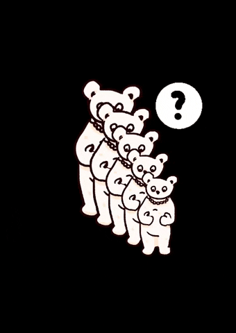 chi__nen giphyattribution bear question くま GIF