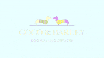 Cocoandbarley dogwalking doggydaycare bingley keighley GIF